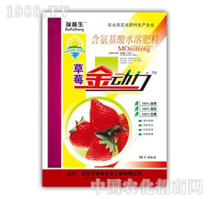 ������-��ݮ����(d��ng)��