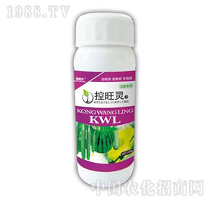 ������-�����`������ã�