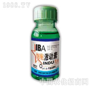 ������-��(x��)��������