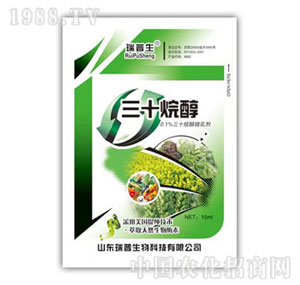 ������-��ʮ�鴼