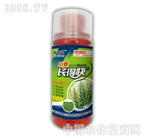 ������-С���L�ÿ�