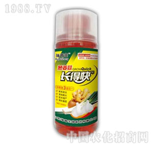 ������-�[�����L�ÿ�