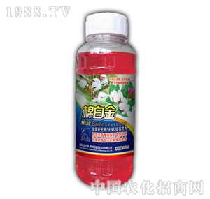 ��(r��n)ԣ-�ް׽�