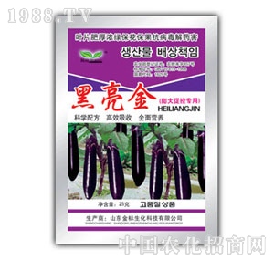 ��ԣ-������