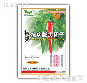 ��(r��n)ԣ-���(l��i)�����������