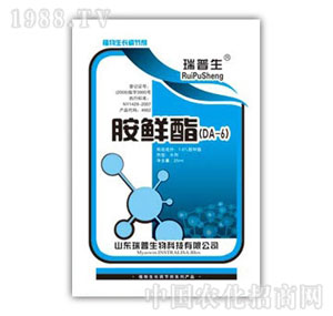 ������-���r��