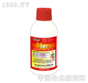 �����_(d��)-����