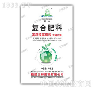 ����-���͵����20-0-5