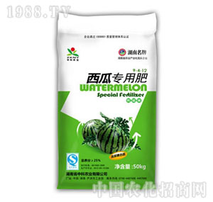 �п��r(n��ng)�I(y��)-���ό��÷�