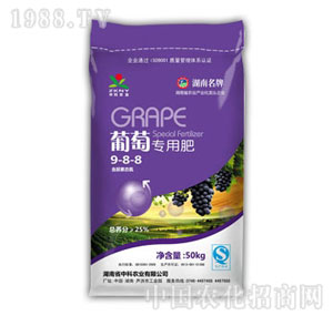 �п��r(n��ng)�I(y��)-���ь��÷�