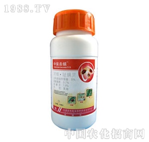 �б�-����