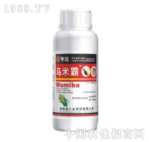 ���_-���װ�