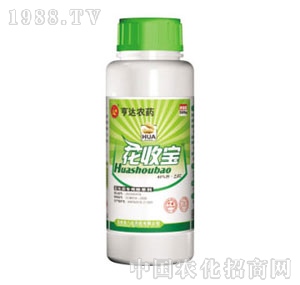 ���_-���Ռ�