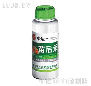 ���_(d��)-���