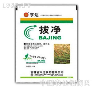 ���_(d��)-�΃�