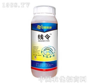 �������r-����