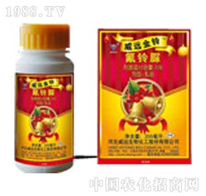 ���h����-���h��⏣�5%��������ͣ�