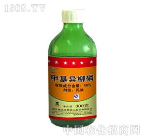 ���h����-40%�׻�������