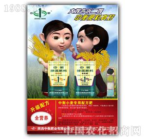 �к�-�������19-19-6