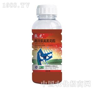 �G���-����