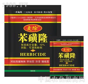 ���Z��-����