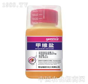 ���Z��-�׾S�}