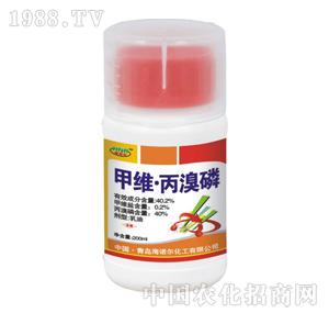 ���Z��-�׾S������