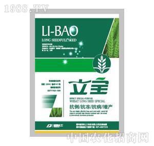 �²�����-����