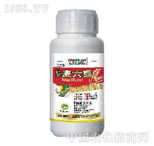 �²�����-����ϲ