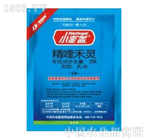 �²�����-С���w