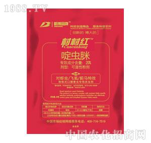 �²�����-���t