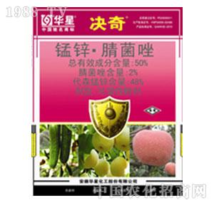 �A��-50%�i�\�����WP���Q�棩