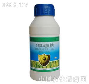 �A��-13%2��4���cAS