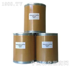 �A��-�Ѿ���