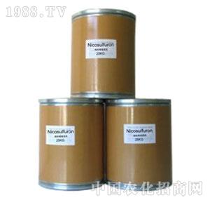 �A��-���׻�¡