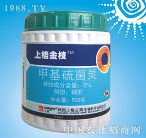 �ϸ�֮·-�׻�����`