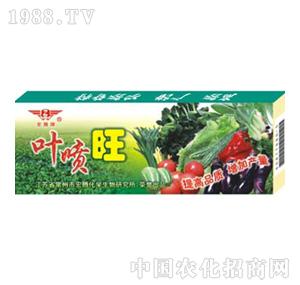 ���v����-�~����