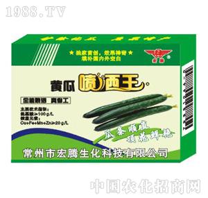 ���v����-�S�χ�����