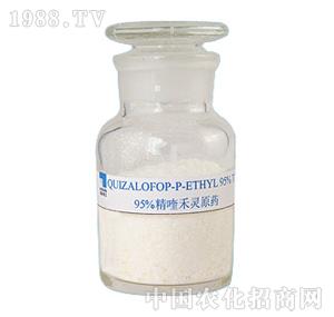 ��������-��୺��`ԭˎ