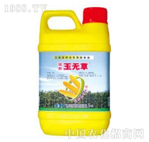 �I�r�Ƽ�-�I�r��o��