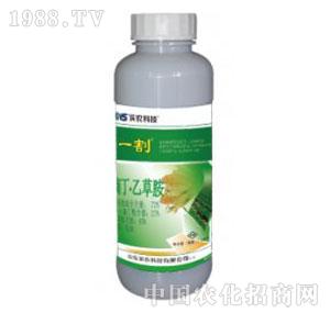 �I�r�Ƽ�-һ���r���z