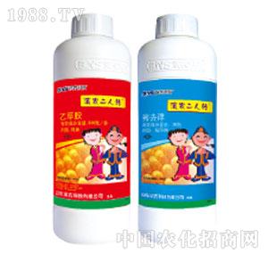 �I�r�Ƽ�-�I�r�����D