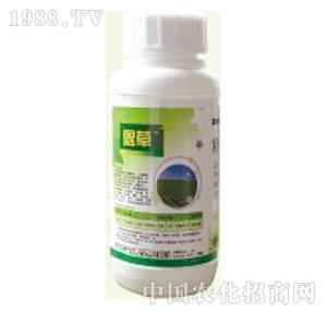 �I�r�Ƽ�-�˲�