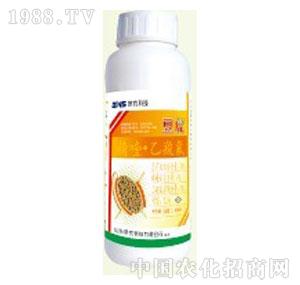 �I�r�Ƽ�-���� ����