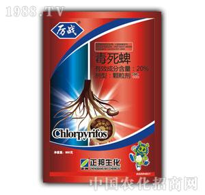 ����F-����(zh��n)