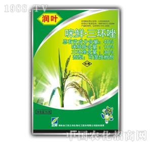 ����F(tu��n)-��(r��n)�~