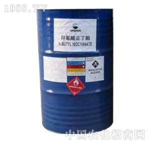 ����-������������