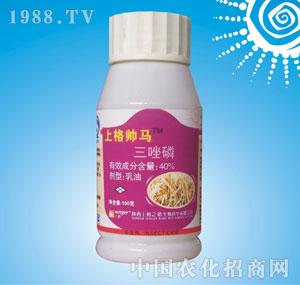 �ϸ�֮·-�ϸ��R��40%���������ͣ�