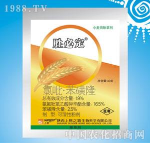 �ϸ�֮·-�ٱض���19%��������¡�ɝ�