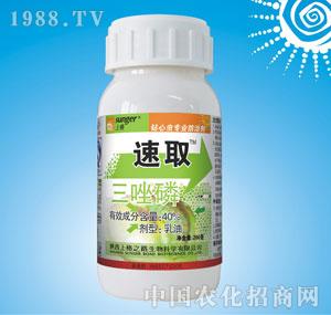 �ϸ�֮·-������40%���������ͣ�